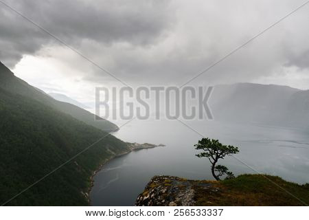 Misty morning on Tingvollfjorden flord Vettamyra , More og Romsdal county, Norway