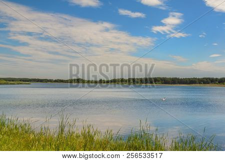 Transparent Water On Lake Svitiaz On A Sunny Day (lakes Of Shatsk, Shatsky National Natural Park)