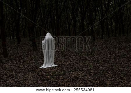 A ghost in a dark forest