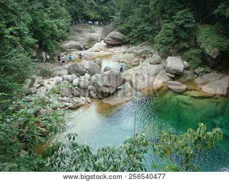 Photograph Of Plants Taken In Huangshan Scenic Area, China