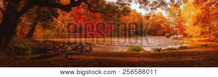 Autumn Scene At The Lake In Park, Lipnik (teketo) Park, Nikolovo Village Area, Ruse District, Bulgar