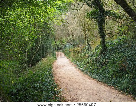 Pathway In A Forest Near The Village Of Aze, France