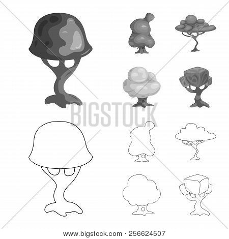 Vector Design Of Tree And Nature Icon. Collection Of Tree And Crown Vector Icon For Stock.