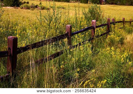 Rustic Wooden Fence On Ranchlands Surrounded By Lush Grasslands With Wildflowers Taken Near Big Bear