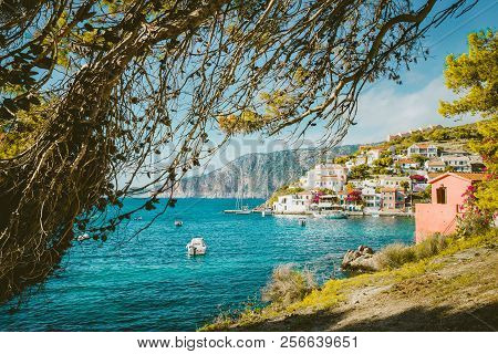 Pine Tree Grove Branch Frame View Of Mediterranean Sea Bay In Colorful Assos Village. Kefalonia Gree