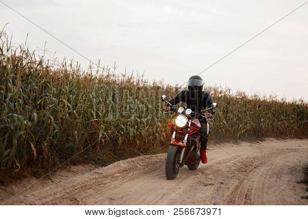 Man Is A Motorcyclist In Black Outfit With A Helmet Riding In The Field With Corn. Concept Travel