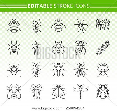 Danger Insect Thin Line Icons Set. Outline Web Sign Kit Of Bed Bug. Beetle Linear Icon Collection In