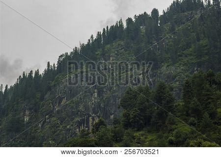 Green Firry Forest On The Rock And Clouds