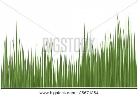 Grasgrün
