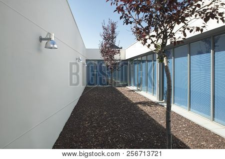 Modern Arquitecture Indoor Minimalist Style Garden With Trees. Horizontal