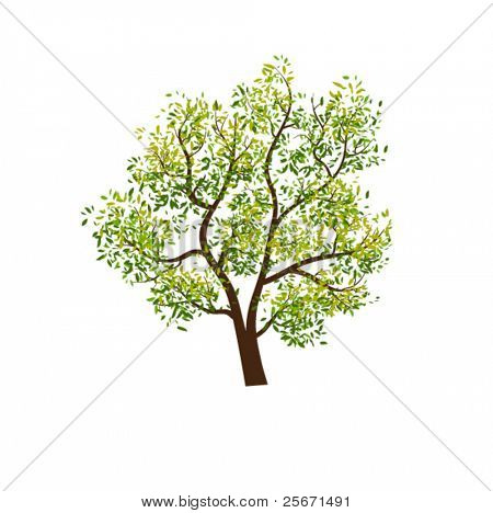 แผนภูมิที่นามธรรม
