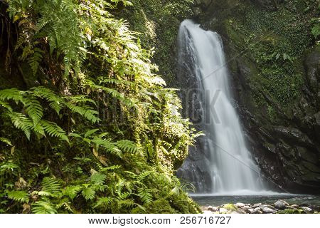 White Waterfall Falling Along Bedrock In Back Of Green Ferns