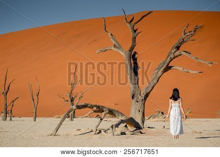 Young Attractive Asian Girl Wearing White Dress Standing Bear Foot And Smiling In Deadvlei (sossusvl