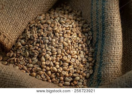 Green Coffee Bean Raw In Sack With Scoop.