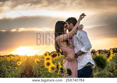 Romantic Couple on a Love Moment in a Sunflower field