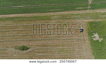 Aerial, View Agricultural Machinery With Wheeled Rake Makes Ranks Beveled Hay.tractor Which Is Linin