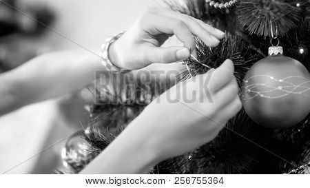 Closeup Black And White Image Of Female Hands Decorating Christmas Tree With Baubles