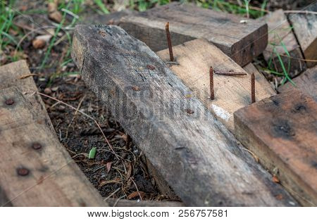 Dengerous Rusty Nail In Wood Plank On Ground. Danger Concept.