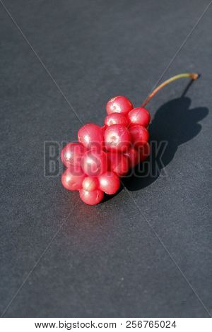 Berries Of Schizandra Laying On Black Background