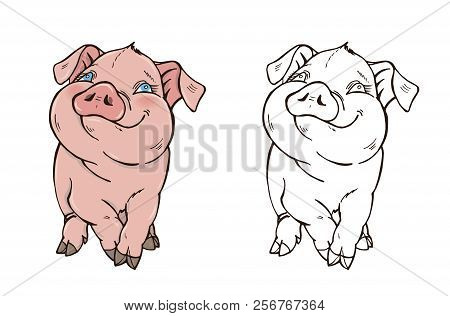 Cute Pig In Color And Black And White, The Symbol Of 2019, Coloring Page, Vector Illustration.