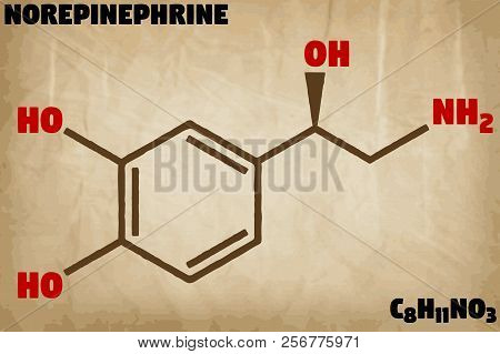Detailed Infographic Illustration Of The Molecule Of Norepinephrine.