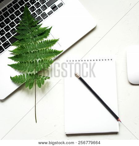 Busines Flat Lay Of Office Stuff On White Table. Notebook, Pencil. Glasses, Laptop, Fern. Square Ima