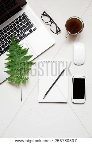 Busines Flat Lay Of Office Stuff On White Table. Notebook, Pencil. Glasses, Laptop, Fern