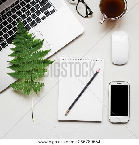 Busines Flat Lay Of Office Stuff On White Table. Notebook, Pencil. Glasses, Laptop, Fern. Sqaure Ima