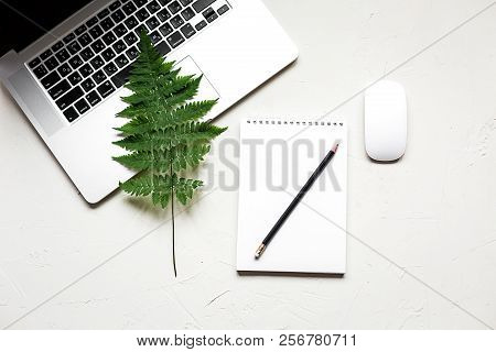Busines Flat Lay Of Office Stuff On White Table. Notebook, Pencil. Glasses, Laptop, Fern