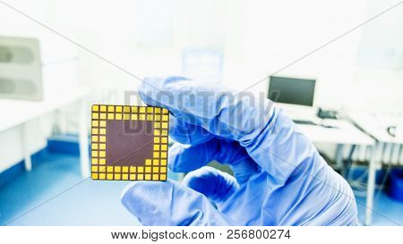 Scientist With Dna Sequencing Chip. Medical Laboratory.