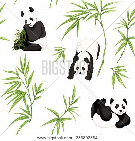 Seamless Pattern, Background. With Pandas And Bamboo.