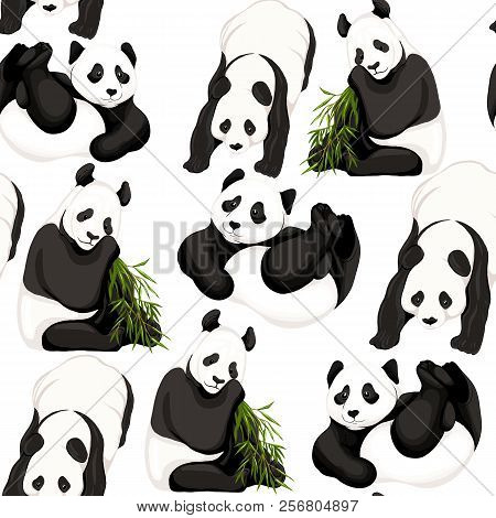Seamless Pattern, Background. With Pandas And Bamboo.