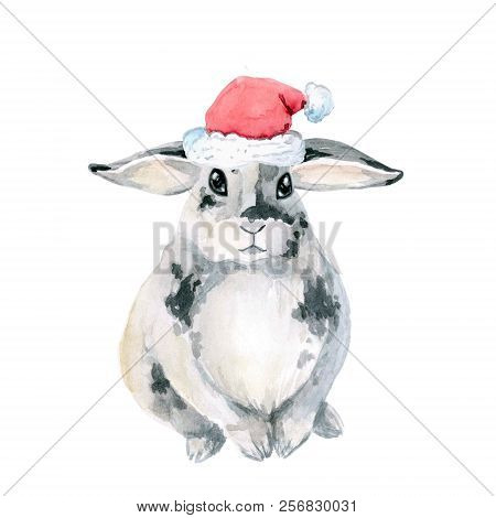 Gray Spotted Rabbit, Sitting. Watercolor Is Isolated On White Background. Christmas, New Year. Cap O