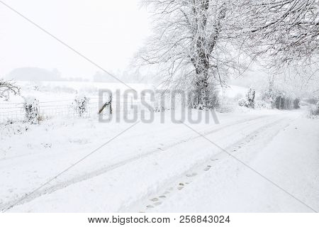 English Countryside In Winter With A Rural Road, Tree And Fields Covered In Snow