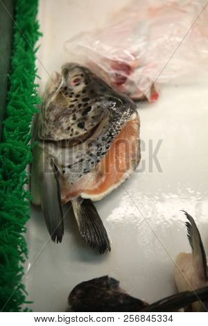 fish. fresh fish for sale. sea food market. fish on ice. dead fish. 
