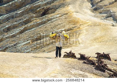 Kawah Ijen, Indonesia - November 10,2012 : Tired  Worker Carries Sulfurfrom Ijen Crater In Ijen Volc