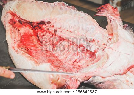 Cleaning The Fish And Cutting It. Hands Of A Fishmonger Slicing Pintado Fish. Pintado Fish Cutted In