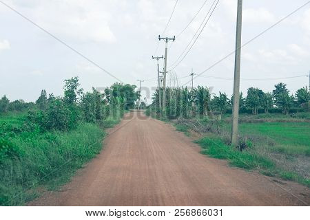 Countryside Road With Tree And Electric Pole In Thailand