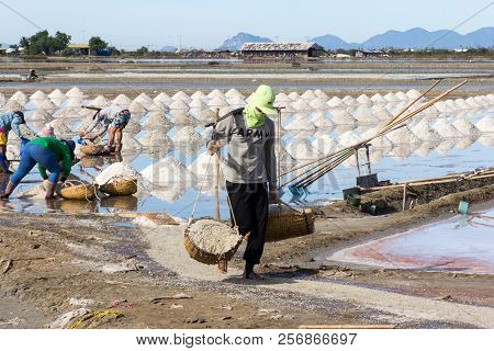 Petchaburi, Thailand - 12th August 2017: Workers Gathering Sea Salt From The Salt Pans.the Farms Oft