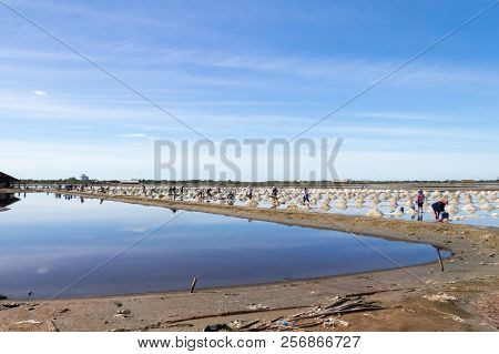Workers Gathering Sea Salt From The Salt Pans, Petchaburi Province, Thailand