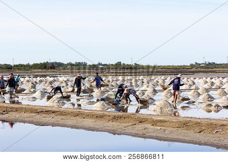 Petchaburi, Thailand - 12th August 2017: Workers Gathering Sea Salt From The Salt Pans.the Farms Oft