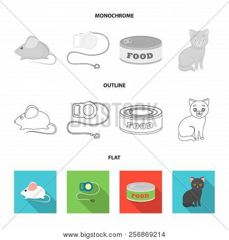 Mouse, Pet Leash, Pet Food, Kitten. Cat Set Collection Icons In Flat, Outline, Monochrome Style Vect