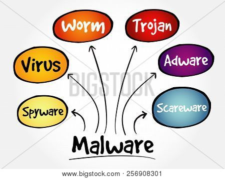 Malware Mind Map Flowchart Business Technology Concept For Presentations And Reports