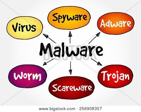 Malware Mind Map Flowchart Business Technology Concept For Presentations And Reports