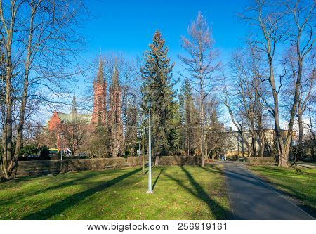 Quiet Alley Of City Park With Lantern, Firs And Other Trees In Tarnow, Poland
