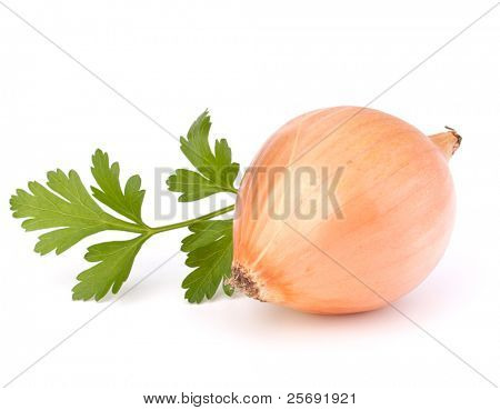 Zwiebel, isolated on white background