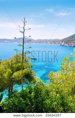 Ibiza Cala de Sant Vicent caleta de san vicente spiaggia turchese acqua