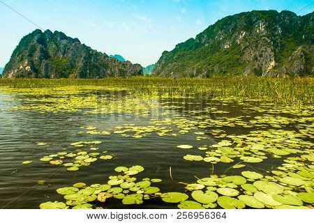 Van Long Nature Reserve With Boats And Beautiful Mountains, Ninhbinh In Vietnam