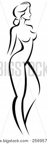 Stylized Silhouette Of Beautiful Woman Stock Vector Illustration