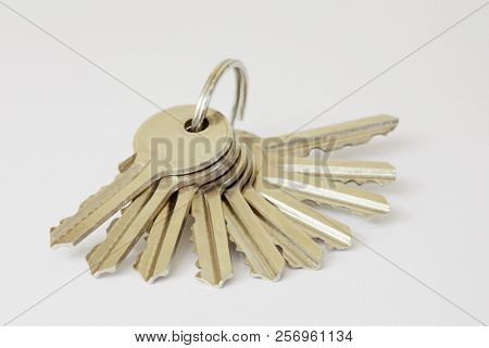 Ten metal keys on ring on white background.